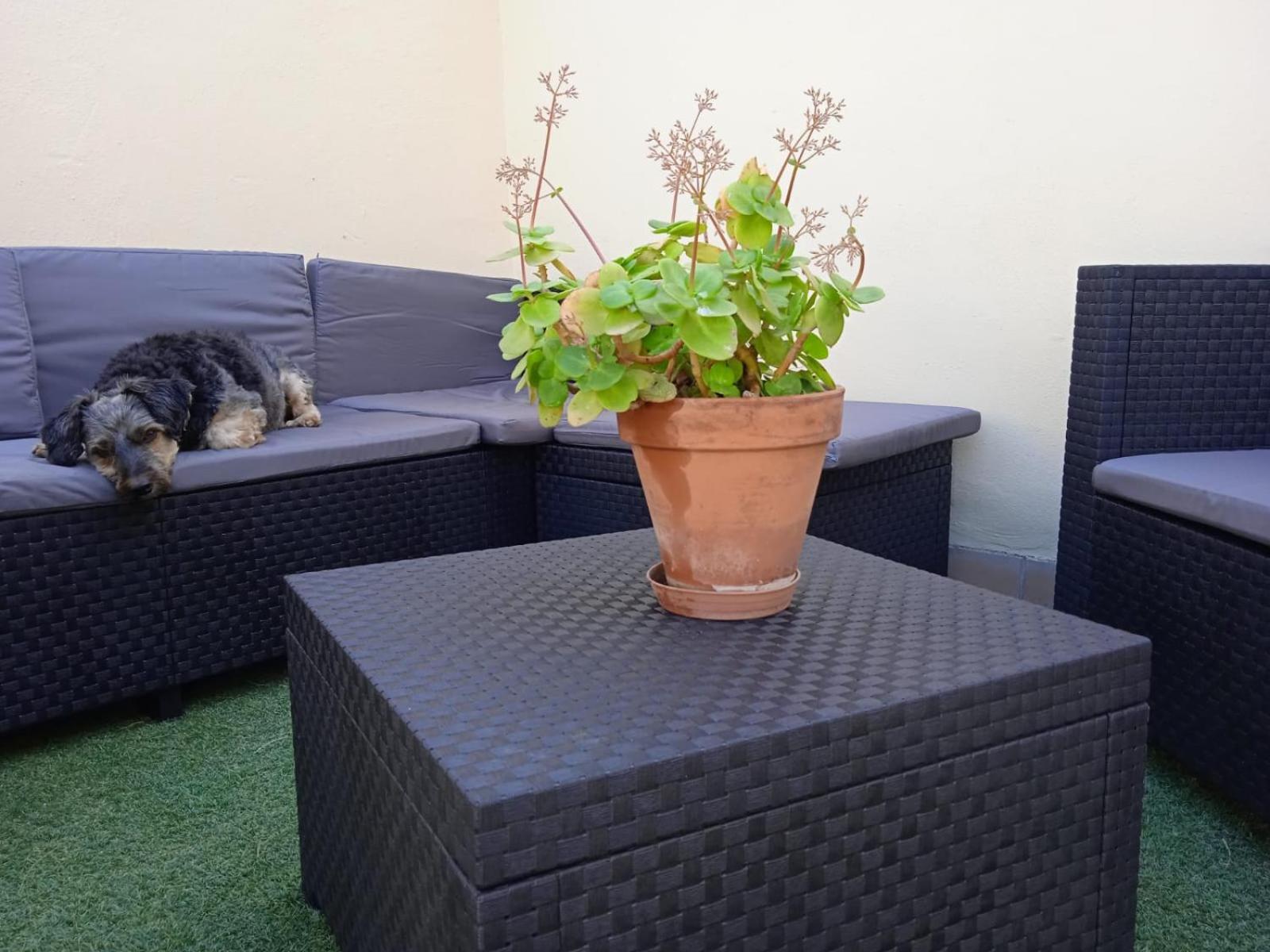 Livingtarifa Apartamento Nano Exterior foto